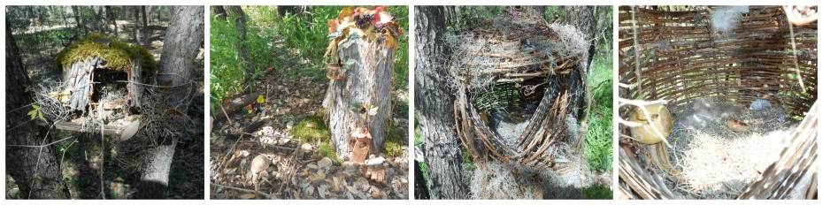 Fairy Walk 5