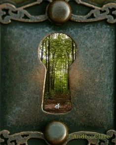 Alice in Wonderland keyhole