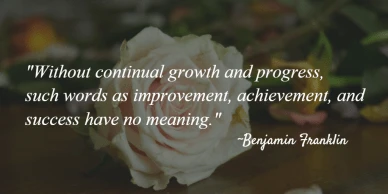 Progress and growth quote